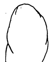 1128772